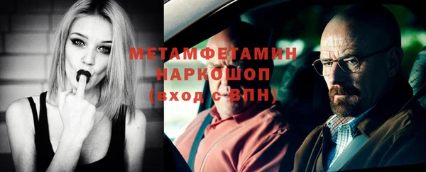 шишки Бородино