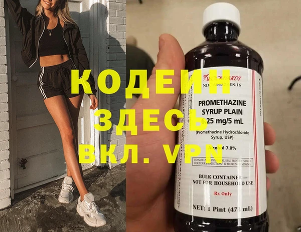 шишки Бородино