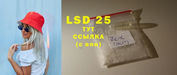 шишки Бородино