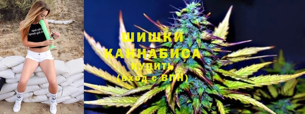 амф Богородск