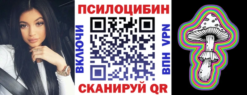 даркнет сайт  Карачаевск  Галлюциногенные грибы мицелий 